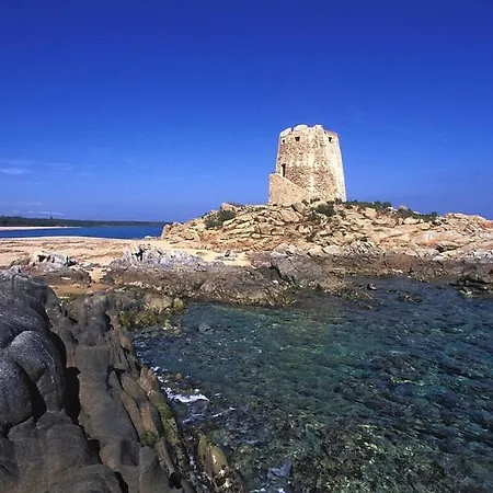 Bellevue Vacation * باري ساردو